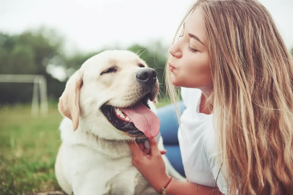 Dog Allergies & The Best Dog Allergy Tests