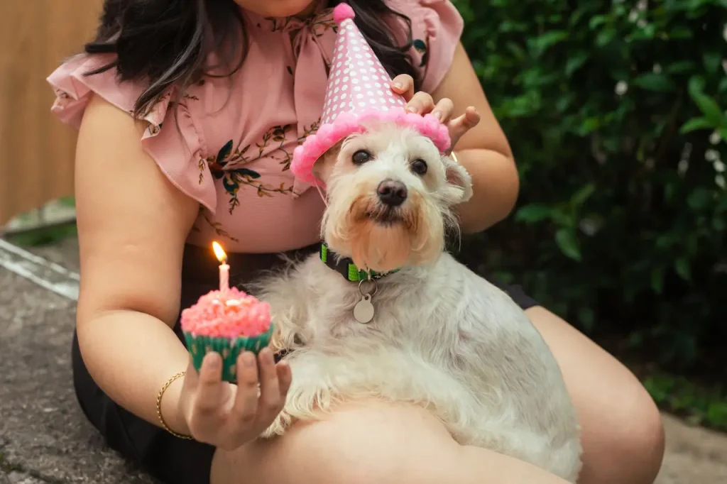 Dog With Birthday Cake