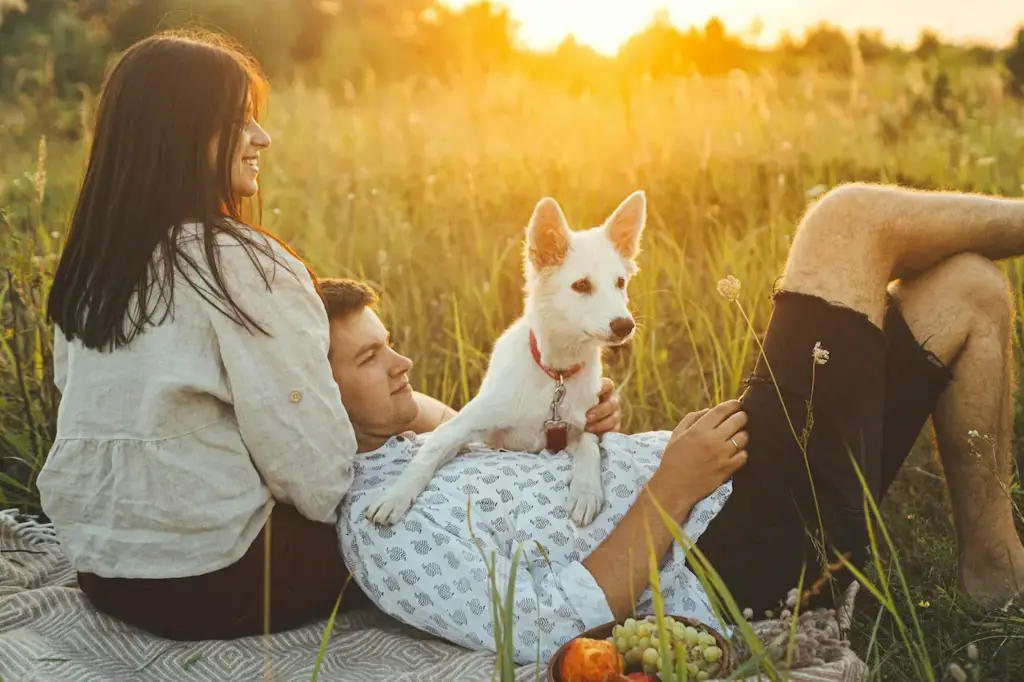 People Having A Picnic With A Puppy