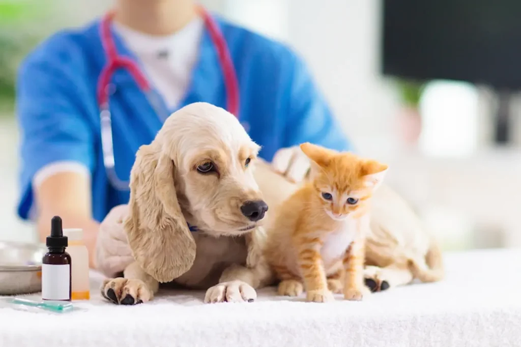 Pets in the Clinic 