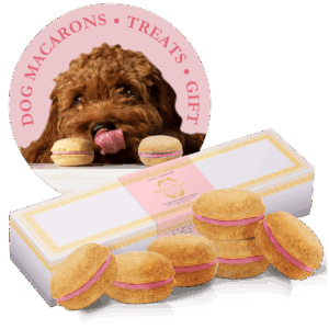 Dog Macarons - Box of 6 (Available in 12 Flavors)