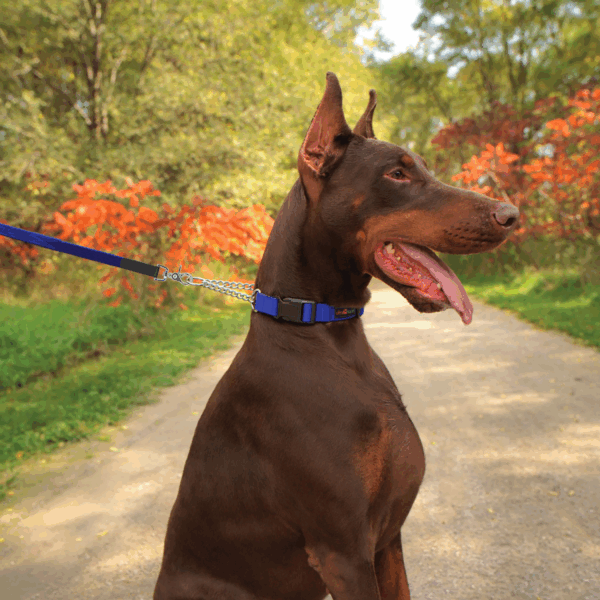 Play Martingale Collar - Image 2