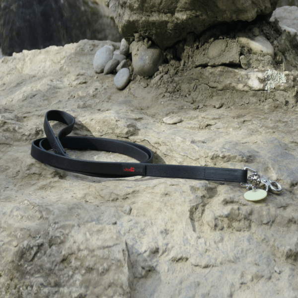 Boss Regular Leash - Image 2