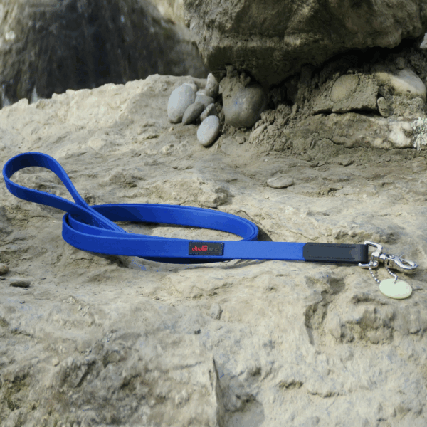 Boss Regular Leash - Image 2