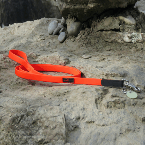 Boss Regular Leash - Image 2