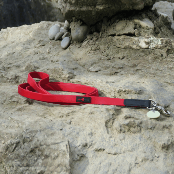 Boss Regular Leash - Image 2