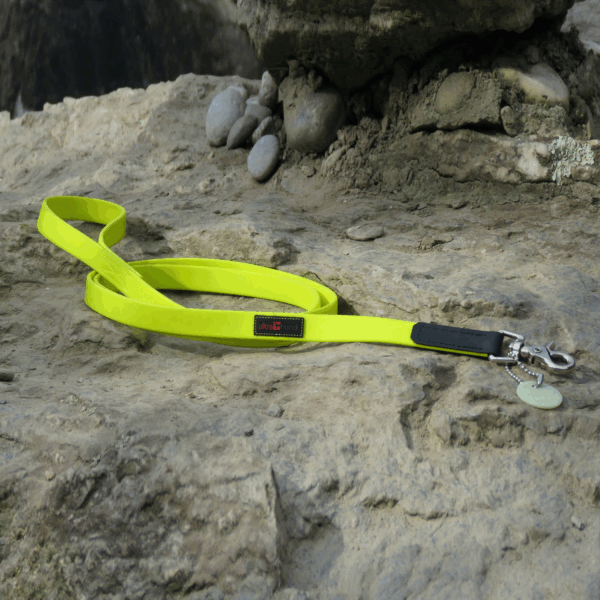 Boss Regular Leash - Image 2