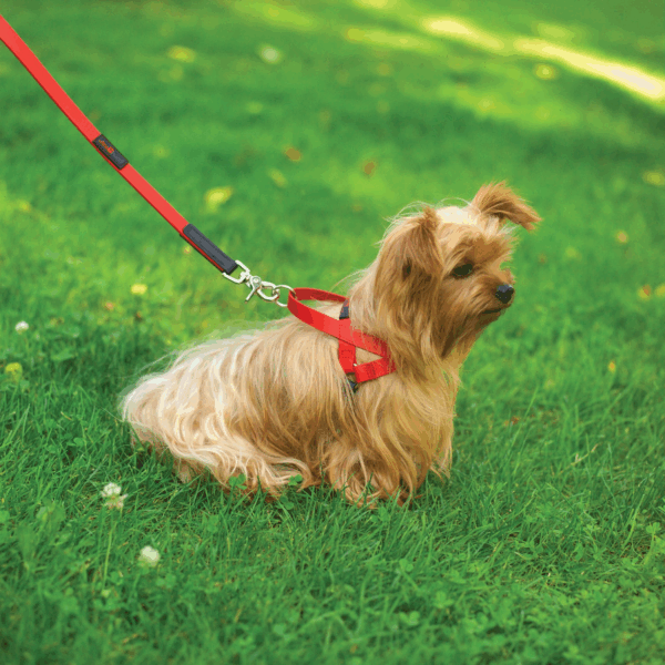 Freedom Harness - Image 2