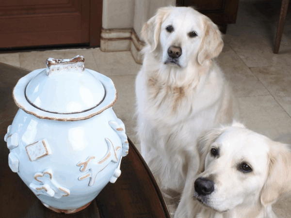 Dog Treat Jar - Image 2