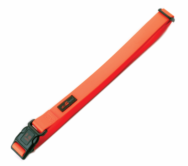 Adjustable Jogging Belt