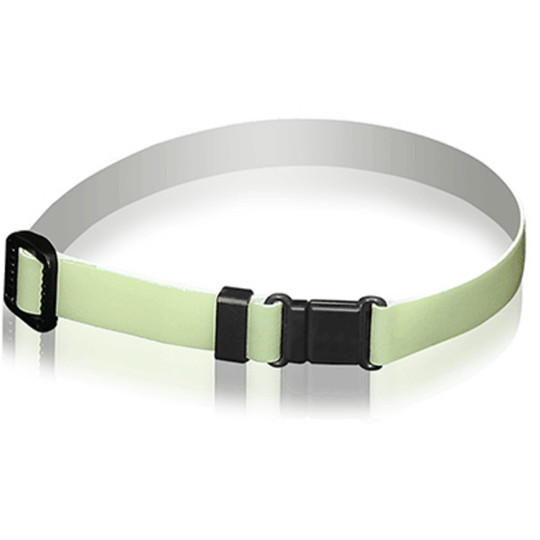 Lunalynx Glow Cat Collar