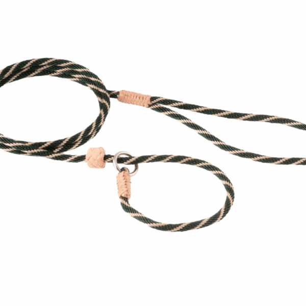 Nylon Slip Lead With Stopper (4 ft  x 1/8in or 4mm)