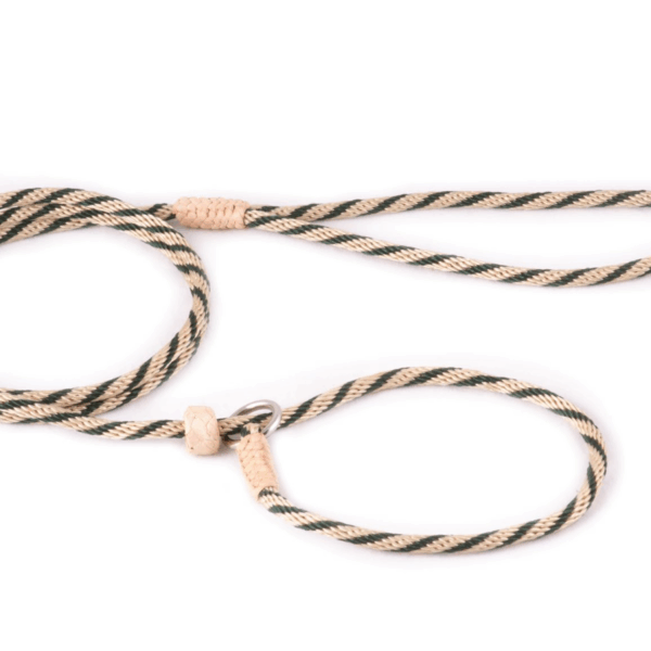 Nylon Slip Lead With Stopper (4 ft  x 1/8in or 4mm)