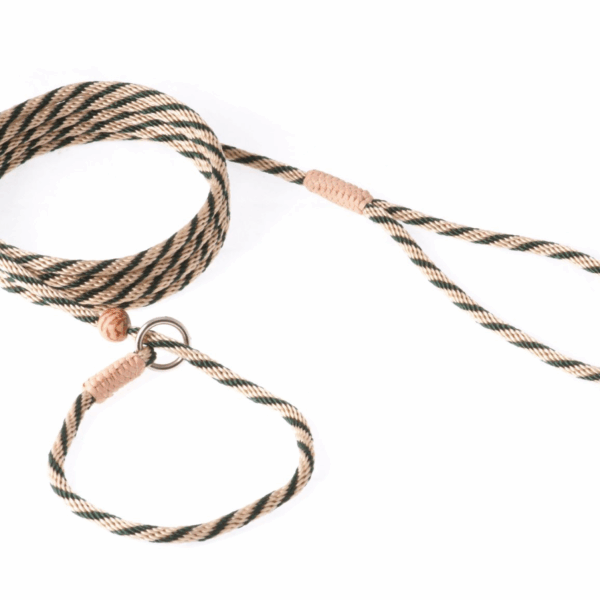 Nylon Slip Lead With Stopper (6 ft  x 1/8in or 4mm)
