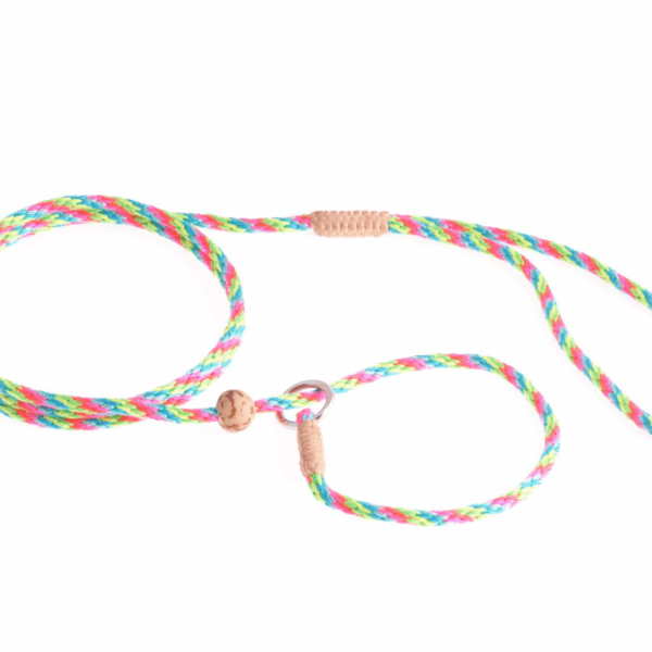 Nylon Slip Lead With Stopper (4 ft  x 1/8in or 4mm)