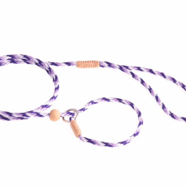 Nylon Slip Lead With Stopper (4 ft  x 1/8in or 4mm)