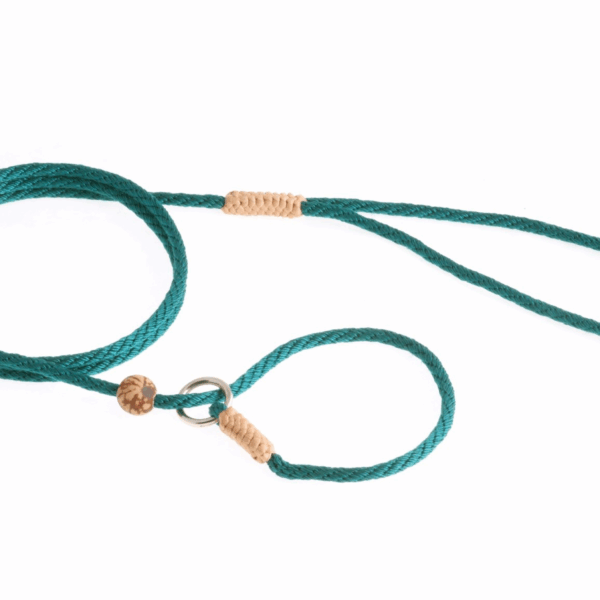Nylon Slip Lead With Stopper (4 ft  x 1/8in or 4mm)