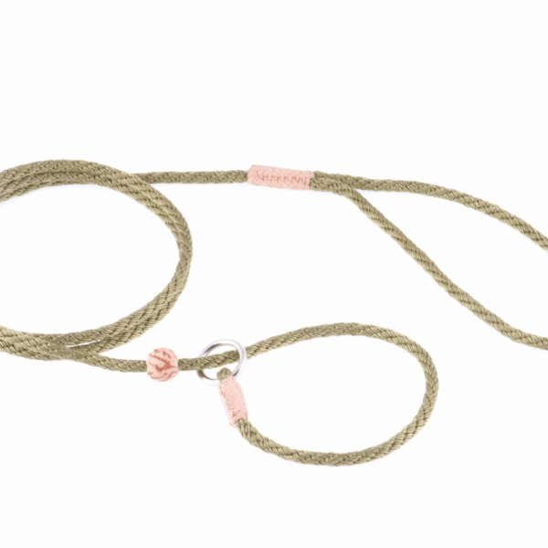 Nylon Slip Lead With Stopper (4 ft  x 1/8in or 4mm)