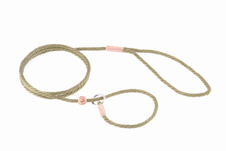 Nylon Slip Lead With Stopper (4 ft  x 1/8in or 4mm)