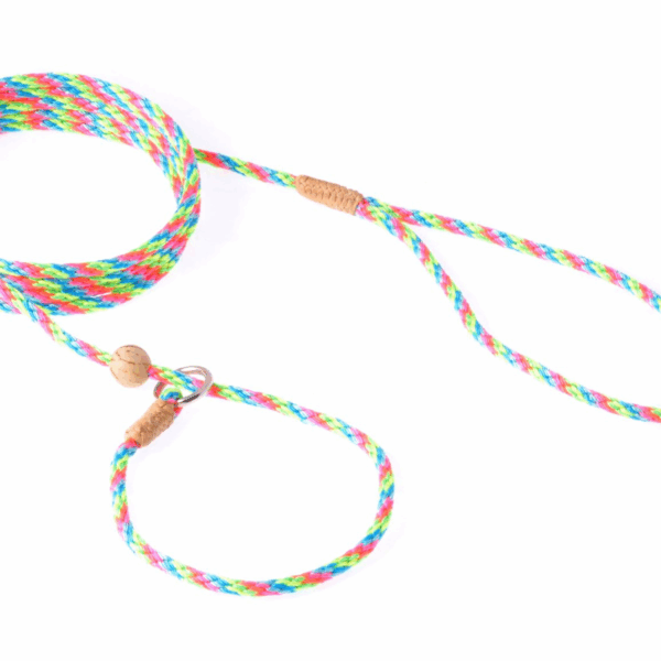 Nylon Slip Lead With Stopper (6 ft  x 1/8in or 4mm)