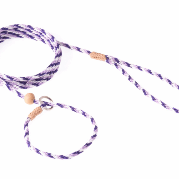 Nylon Slip Lead With Stopper (6 ft  x 1/8in or 4mm)