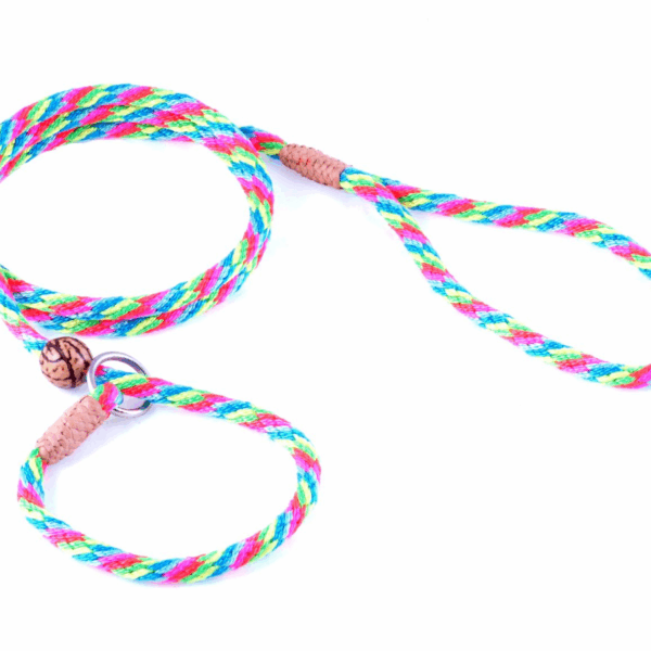 Nylon Slip Lead With Stopper (4 ft  x 1/4in or 6mm)