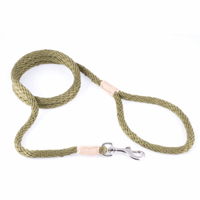 Nylon Snap Leads (4 ft  x 1/8in or 4mm)