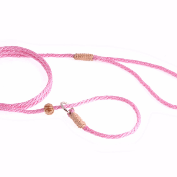 Nylon Slip Lead With Stopper (4 ft  x 1/8in or 4mm)
