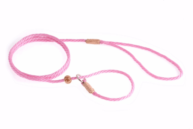 Nylon Slip Lead With Stopper (4 ft  x 1/8in or 4mm)