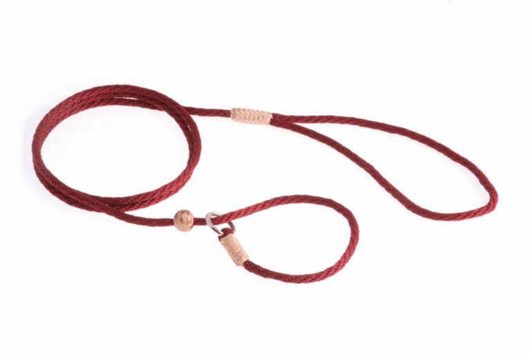 Nylon Slip Lead With Stopper (4 ft  x 1/8in or 4mm)