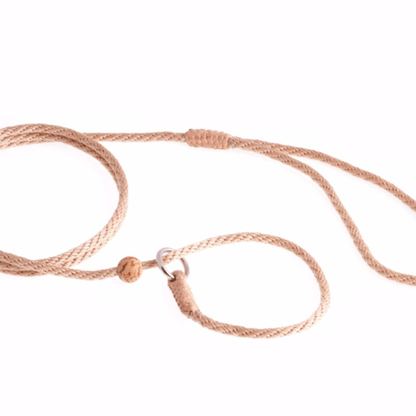Nylon Slip Lead With Stopper (4 ft  x 1/8in or 4mm)