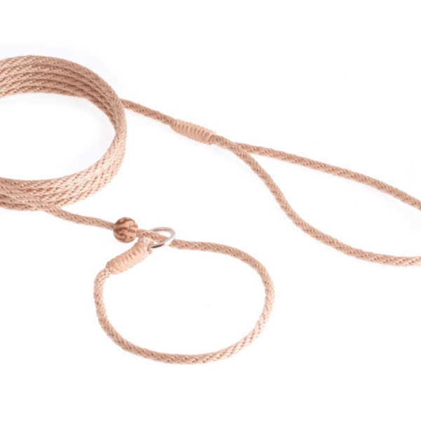 Nylon Slip Lead With Stopper (6 ft  x 1/8in or 4mm)