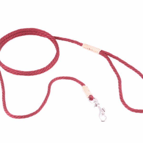 Nylon Snap Leads (4 ft  x 1/8in or 4mm)