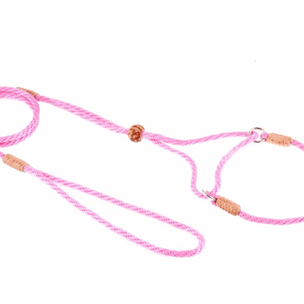 Nylon Martingale Leads (8in x 1/8in or 4mm)