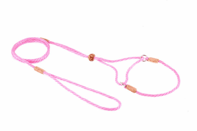 Nylon Martingale Leads (8in x 1/8in or 4mm)