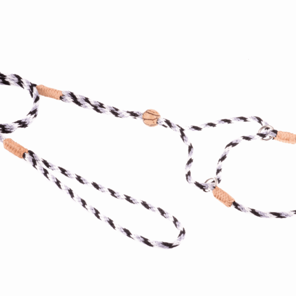 Nylon Martingale Leads (8in x 1/8in or 4mm)
