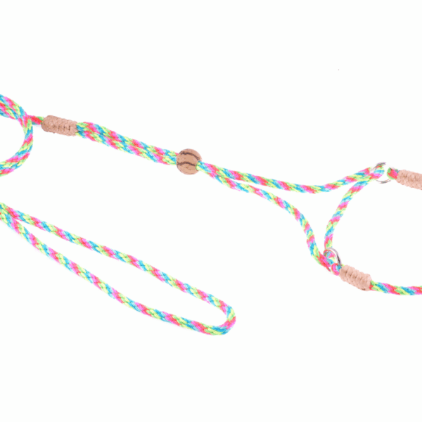 Nylon Martingale Leads (8in x 1/8in or 4mm)