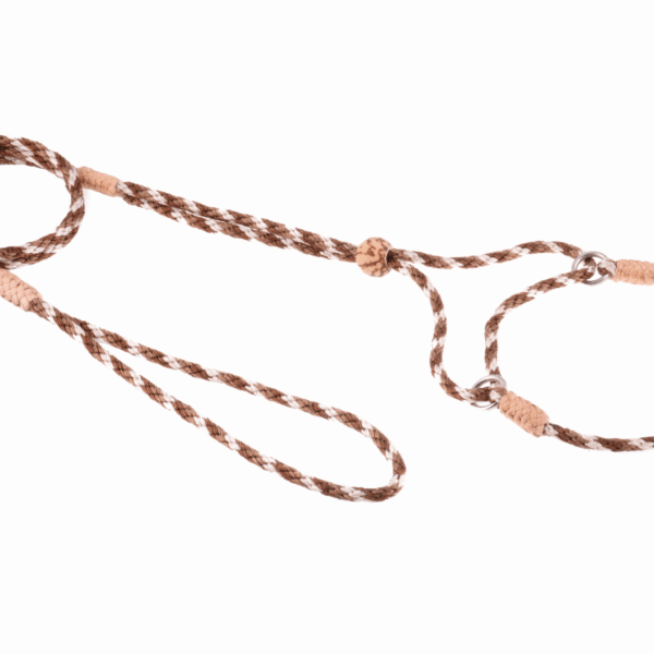 Nylon Martingale Leads (8in x 1/8in or 4mm)