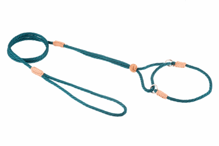 Nylon Martingale Leads (8in x 1/8in or 4mm)