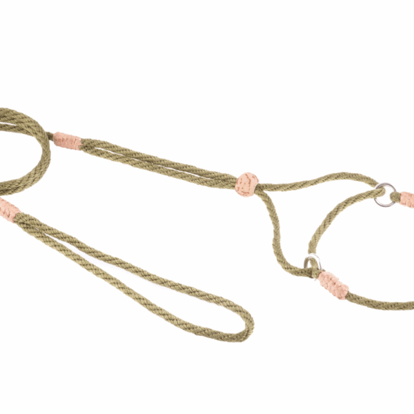 Nylon Martingale Leads (8in x 1/8in or 4mm)
