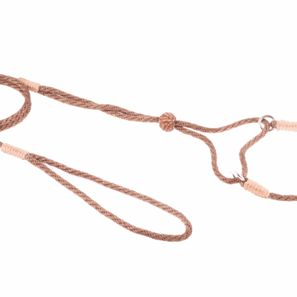 Nylon Martingale Leads (8in x 1/8in or 4mm)