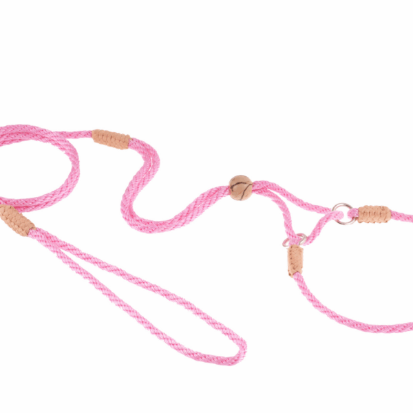 Nylon Martingale Leads (10in x 1/8in or 4mm)