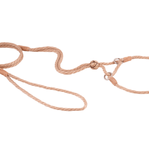 Nylon Martingale Leads (10in x 1/8in or 4mm)