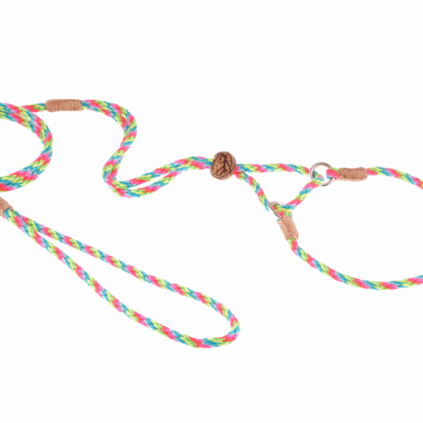 Nylon Martingale Leads (10in x 1/8in or 4mm)