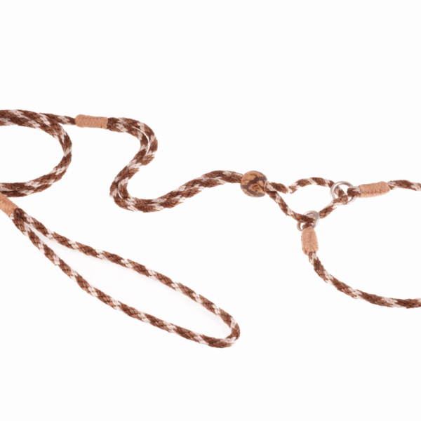 Nylon Martingale Leads (10in x 1/8in or 4mm)