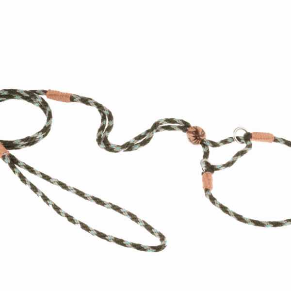 Nylon Martingale Leads (10in x 1/8in or 4mm)