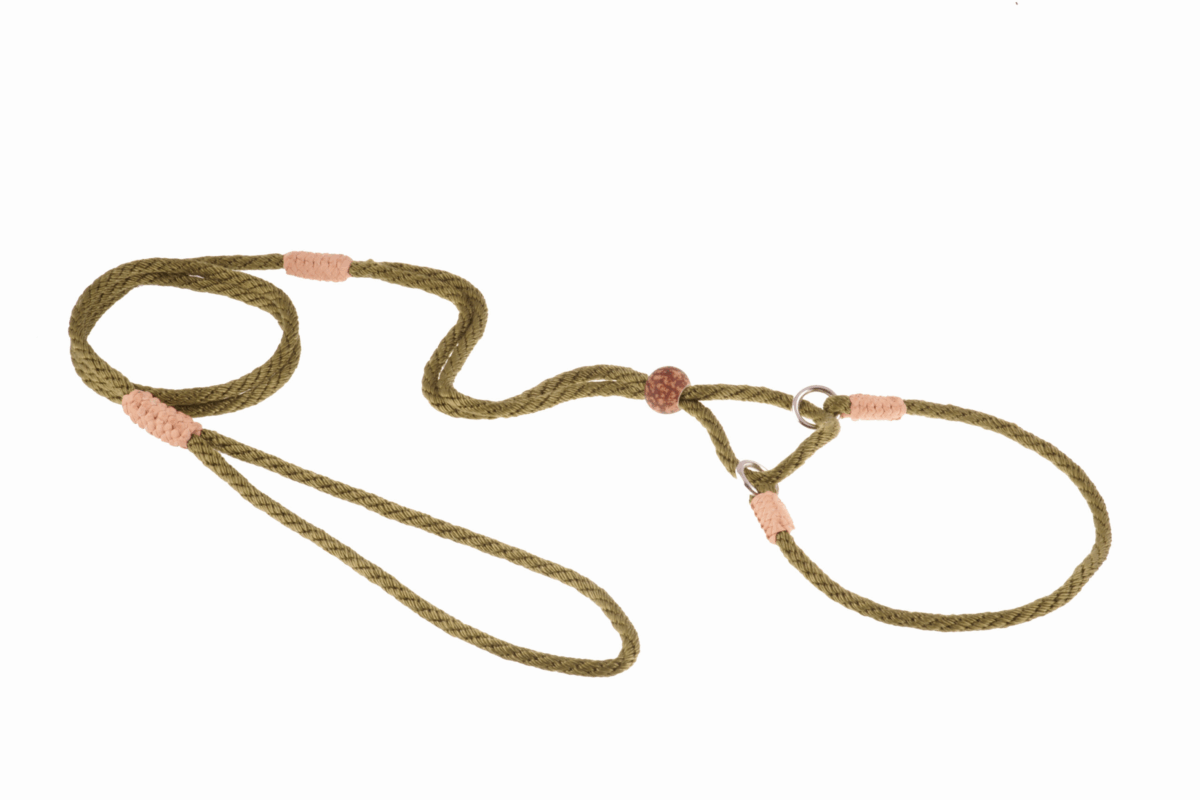 Nylon Martingale Leads (10in x 1/8in or 4mm)