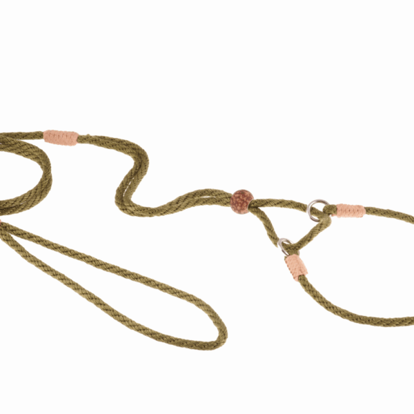 Nylon Martingale Leads (10in x 1/8in or 4mm)