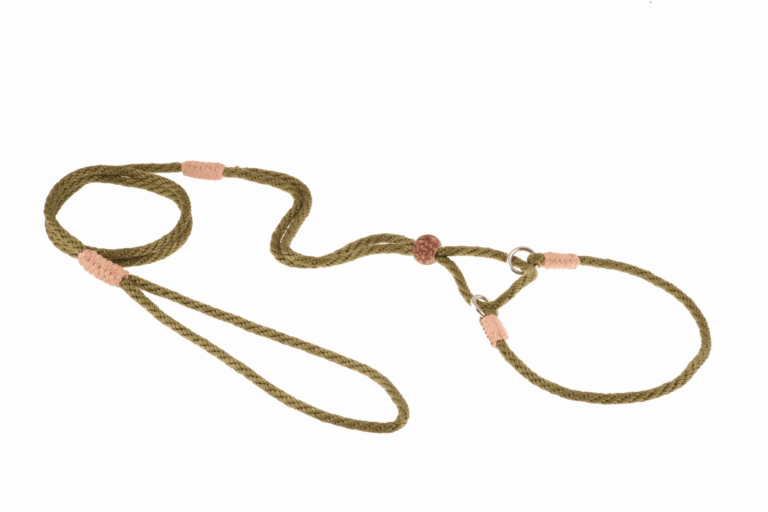 Nylon Martingale Leads (10in x 1/8in or 4mm)