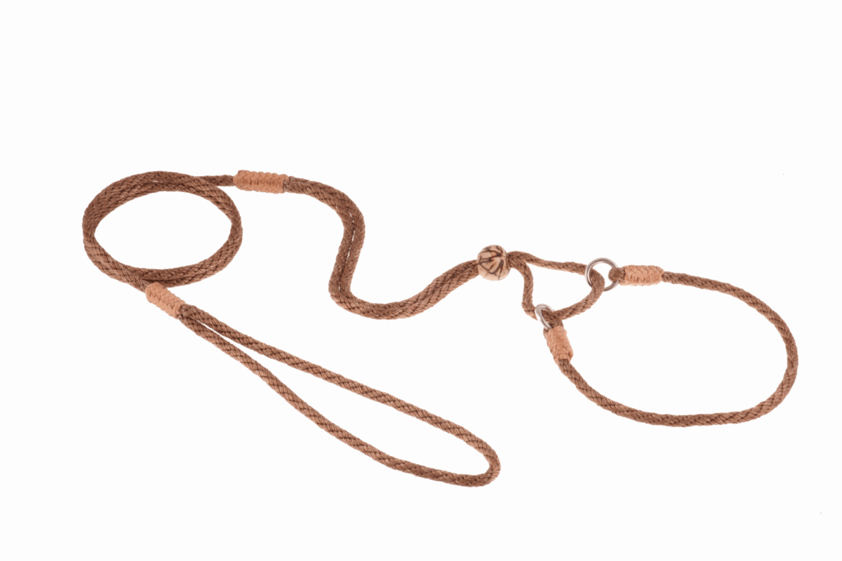 Nylon Martingale Leads (10in x 1/8in or 4mm)
